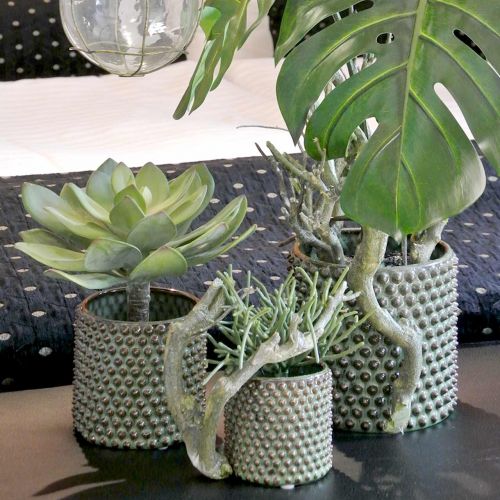 Floristik24 Planta suculenta decorativa verde artificial Ø30cm Alt.27cm