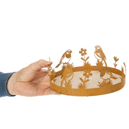 Bandeja decorativa, decoração de mesa com pássaros, decoração de primavera, metal enferrujado, Ø20cm A8,5cm | Floristik24.pt