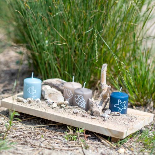 Floristik24 Bandeja decorativa teca natureza 38×18cm