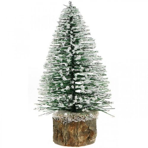 Floristik24 Decoração de Natal, árvore de Natal decorativa, mini abeto verde com neve Alt.15cm Ø9,5cm 6 unid.