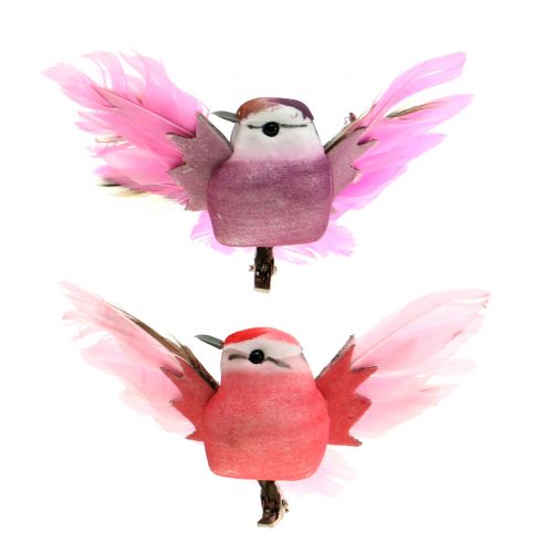 Floristik24 Pássaros decorativos no clipe rosa / roxo 9 cm 8 unidades