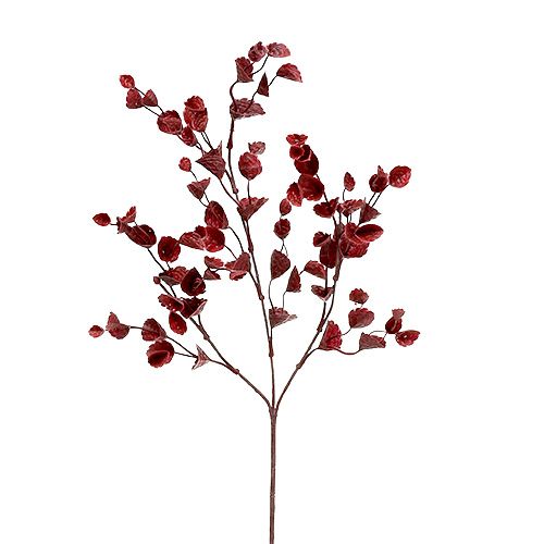 Floristik24 Ramo Deco vermelho escuro 74cm 6pcs