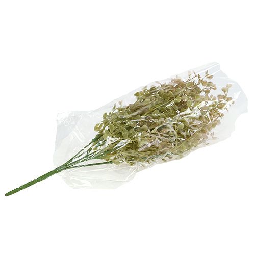 Floristik24 Ramo decorativo verde claro 35 cm