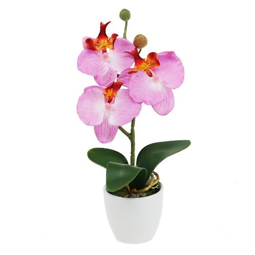 Floristik24 Orquídea decorativa em vaso rosa Alt.29cm