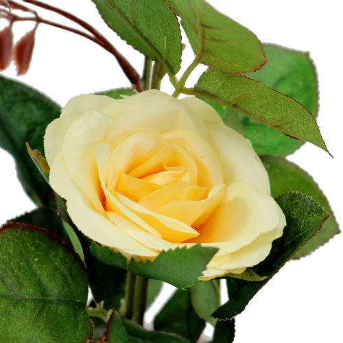 Floristik24 Rosa decorativa em vaso amarelo 23cm