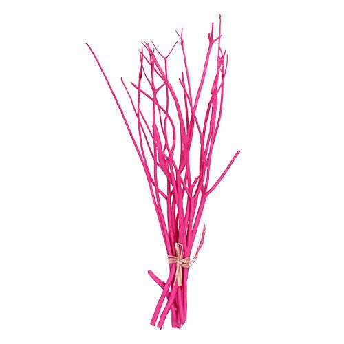 Floristik24 Ramos decorativos Mitsumata 45-60cm rosa 12 unidades