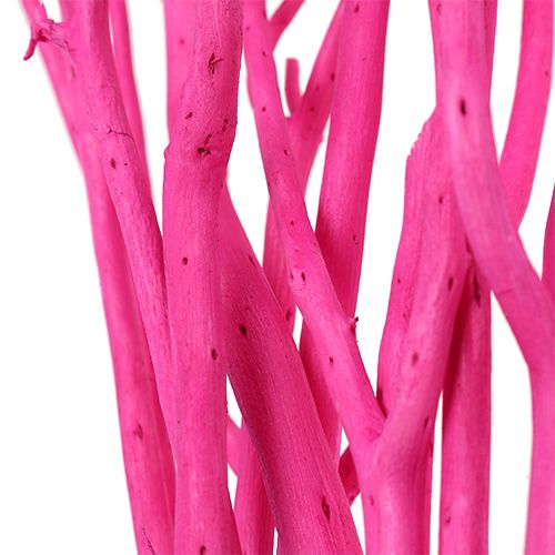 Floristik24 Ramos decorativos Mitsumata 45-60cm rosa 12 unidades
