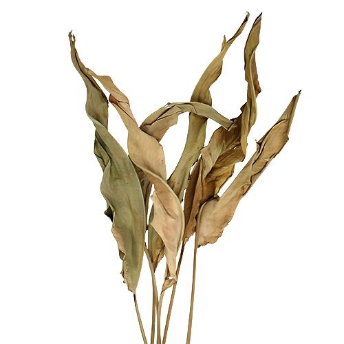 Floristik24 Folhas decorativas natureza 120cm 20 un