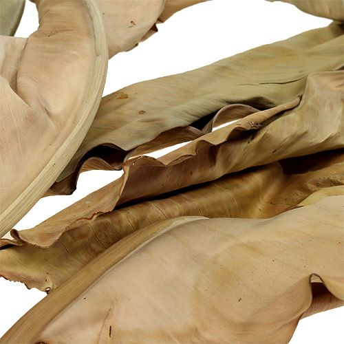 Floristik24 Folhas decorativas natureza 120cm 20 un
