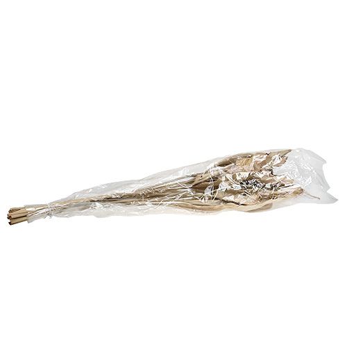 Floristik24 Folhas decorativas natureza 120cm 20 un