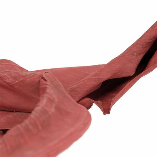 Deco deixa Strelitzia vermelho 85-105cm 10p