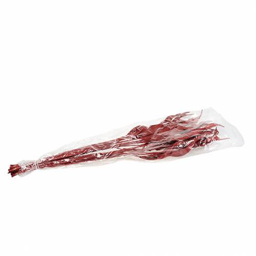 Floristik24 Folhas decorativas Strelitzia vermelhas 85-105cm 10 peças