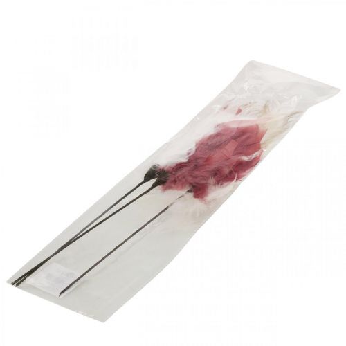 Itens Penas decorativas em palitos Penas de pássaros Branco/Creme/Rosa velho 3 peças