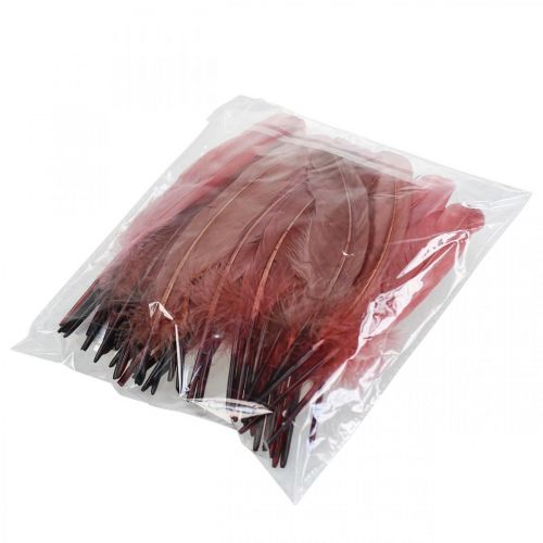 Itens Penas decorativas para artesanato penas de pássaros reais rosa antigas 20g