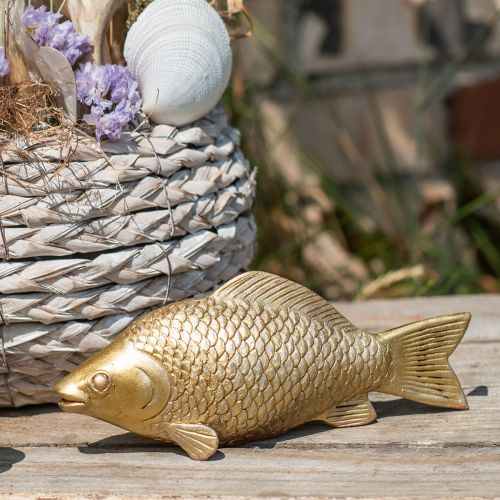 Floristik24 Estátua decorativa de peixe dourado para suporte escultura de peixe poliresina pequena L18cm