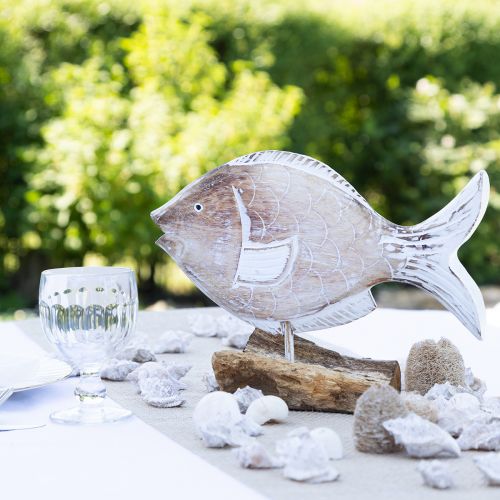 Floristik24 Suporte decorativo de madeira para peixes em raiz decoração marítima 27cm