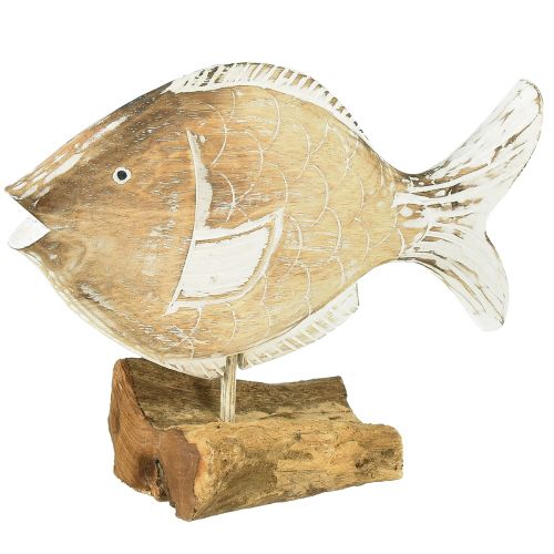 Suporte decorativo de madeira para peixes em raiz decoração marítima 27cm