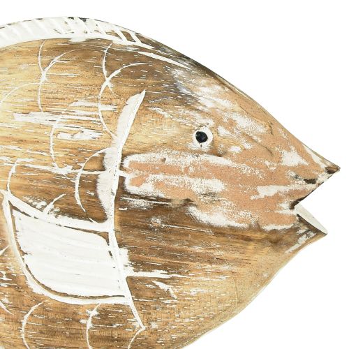 Floristik24 Suporte decorativo de madeira para peixes em raiz decoração marítima 27cm