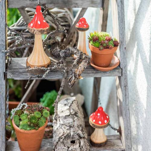 Floristik24 Cogumelos decorativos feitos de madeira vermelha, natural 13,5cm - 19cm 3pcs