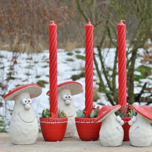 Floristik24 Cogumelo decorativo, decoração de outono, cogumelo de betão, amuleto da sorte, decoração para a passagem de ano vermelho, branco A20cm L10cm
