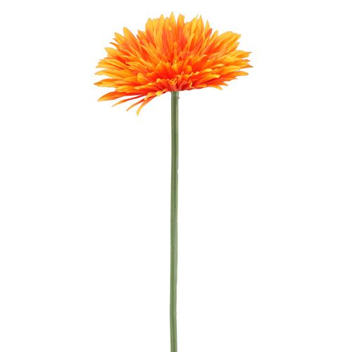 Floristik24 Deco gerbera laranja Ø15cm C 88cm