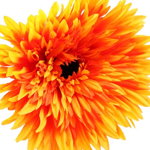 Floristik24 Deco gerbera laranja Ø15cm C 88cm