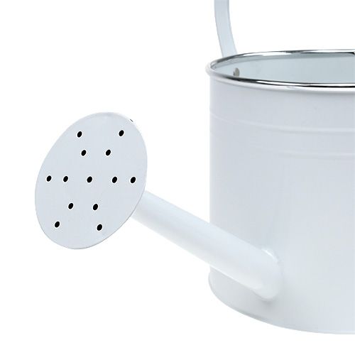 Floristik24 Regador decorativo branco Ø17cm Alt.17cm 1p