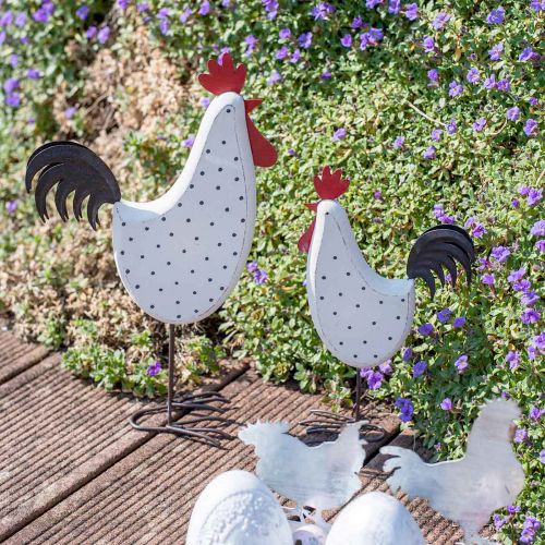 Floristik24 Figura decorativa decorativa de madeira de galo pontilhada branca Páscoa H21cm 2 peças