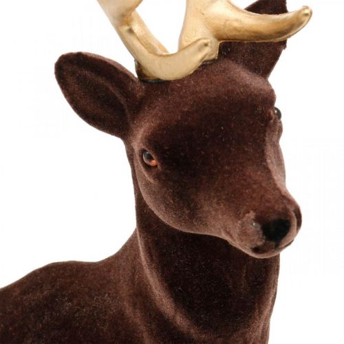 Floristik24 Figura decorada em ouro marrom grande Deco Veado Natal 40cm