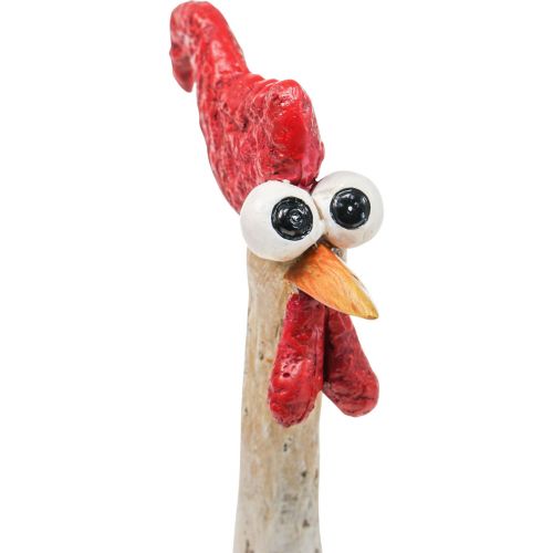 Floristik24 Decoração Galinhas Decoração Figura Decoração Páscoa Galinha Engraçada H26cm