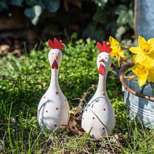 Floristik24 Figura de Páscoa decorativa em madeira de galinha branca com bolinhas Ø7cm A20cm