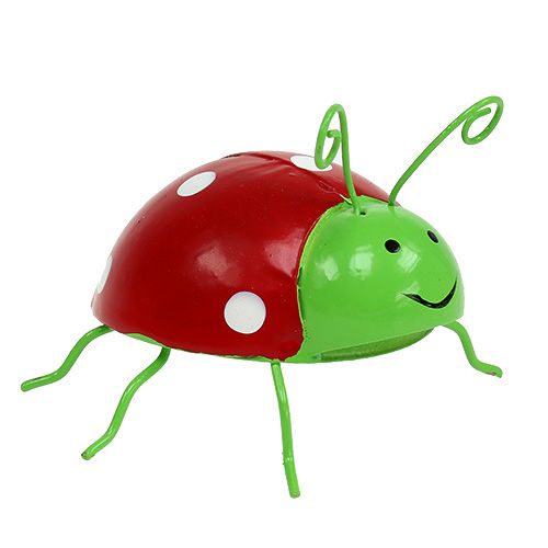 Floristik24 Deco beetle cores variadas 8cm 3uds