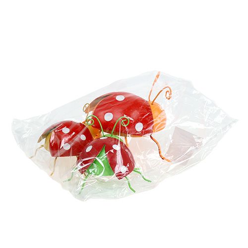 Floristik24 Deco beetle cores variadas 8cm 3uds