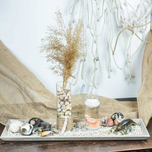 Floristik24 Caranguejo Deco e Lagosta 11cm - 15cm