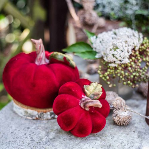 Floristik24 Decoração de mesa vermelha deco abóbora poliresina outono 10,5 × 9 cm 2 peças