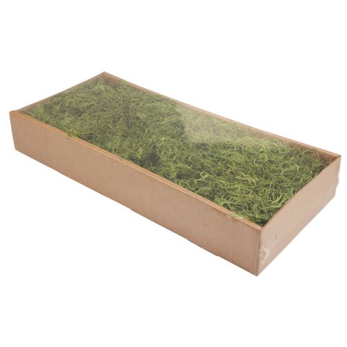 Itens Musgo decorativo seco floresta musgo verde decoração natural 300g
