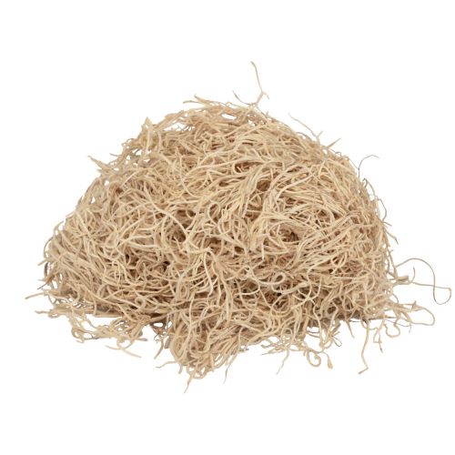 Floristik24 Musgo decorativo seco floresta musgo branqueado decoração natural 300g