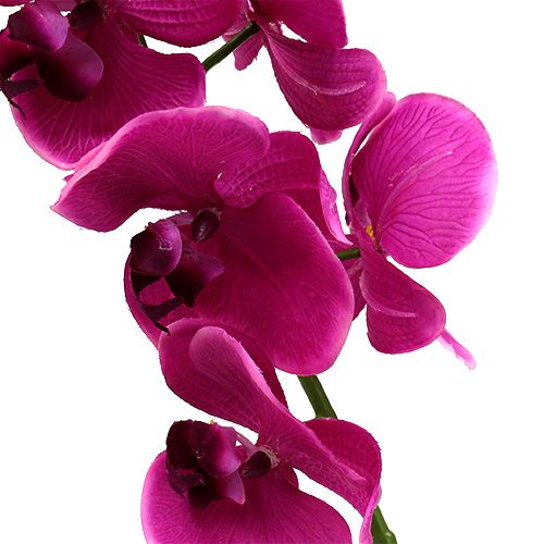 Floristik24 Rosa orquídea decorativa L77cm