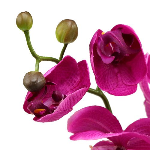 Floristik24 Rosa orquídea decorativa L77cm