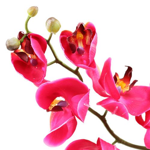 Itens Orquídea decorativa em fúcsia 77cm