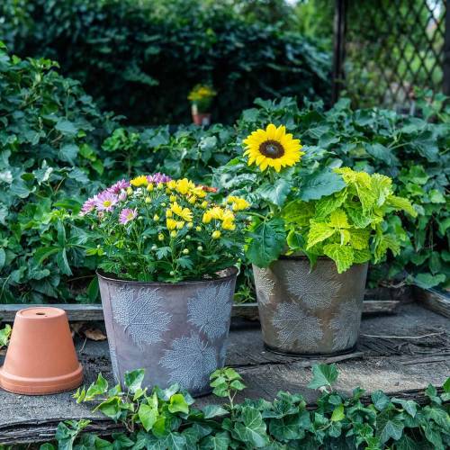 Floristik24 Vaso decorativo com folhas de zinco cinza metálico, laranja, marrom Ø26cmH22cm 3 unidades