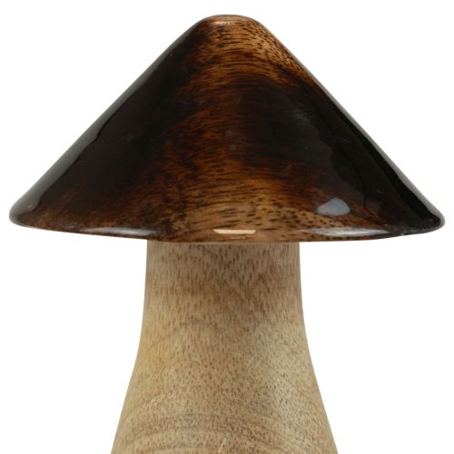 Itens Cogumelo decorativo cogumelo de madeira efeito brilho marrom natural Ø7,5cm Alt.10cm