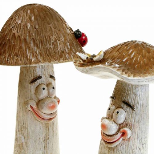 Floristik24 Cogumelos Deco Decoração de outono cogumelos divertidos Ø15/12cm A22/25cm 2uds