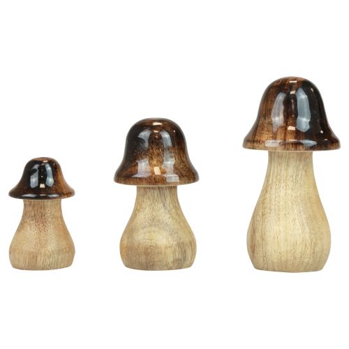 Floristik24 Cogumelos decorativos cogumelos de madeira efeito brilho marrom decoração de outono H6/8/10cm