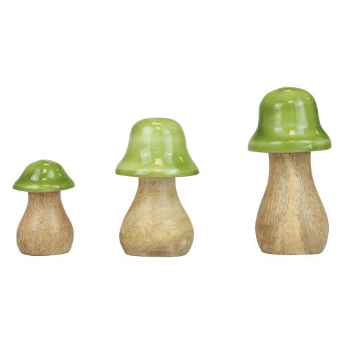 Itens Cogumelos decorativos madeira cogumelos madeira verde claro brilhante H6/8/10cm conjunto de 3