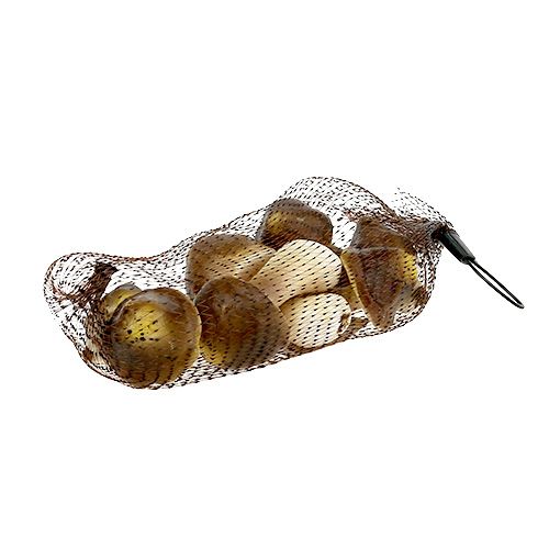 Floristik24 Cogumelos decorativos na rede 5-8cm sortidos. marrom 8pcs