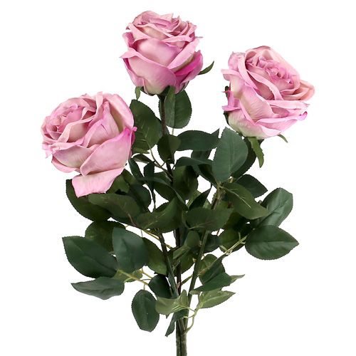 Floristik24 Rosa decorativa preenchida com rosa velho Ø10cm C65cm 3 unidades