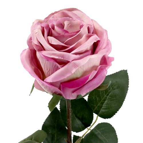 Itens Rosa decorativa preenchida com rosa velho Ø10cm C65cm 3 unidades