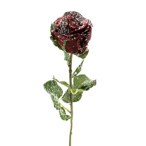 Deco rose vermelho nevado Ø6cm 6uds
