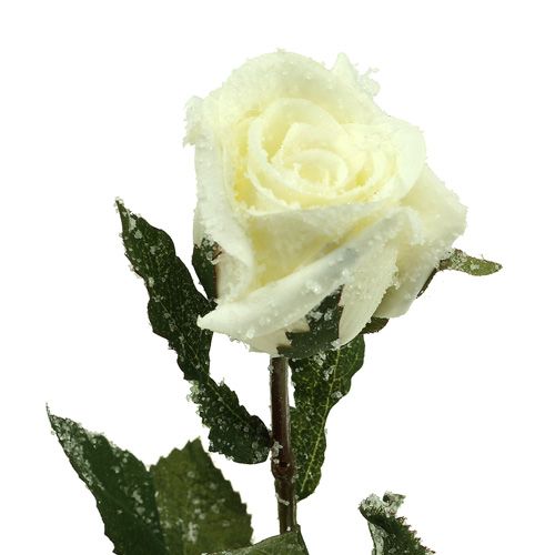 Itens Rosa decorativa branca coberta de neve Ø6cm 6 unidades